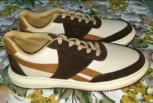 The Aurous Leo Laceup Sneakers - Brown Edition