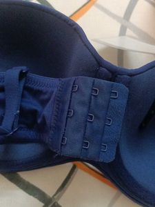 Zivame Navy Blue Bra