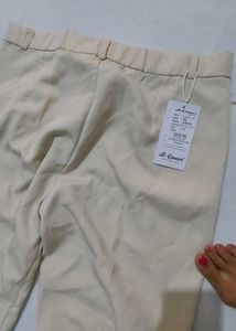 Classic Beige Casual Pants