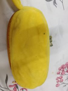 Cute Yellow Color Pouch