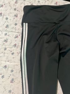 Bell Bottom Tights
