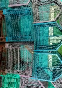 Parrot  Birds Rabbit Cat Etc Cage Pijara Cag