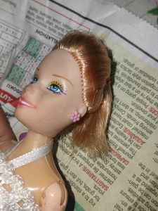 Barbie Doll with Accessories