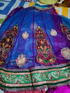 Elegant Embellished Lehenga Choli Set