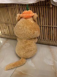 Cute Plush Wombat with Pumpkin