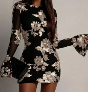 Elegant Black Embroidered bodycon Mesh Dress