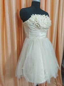 Chic Strapless Tulle Party Dress