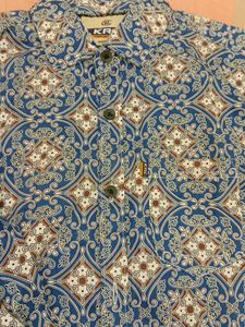 Blue Printed Ethnic Kurta