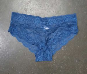 Blue Lace Briefs