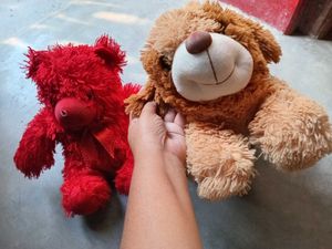 Stuffed Animal Duo