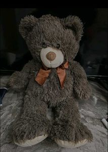 Cozy Brown Teddy Bear Plush