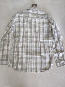 Gaz America Men's Light Olive Green &amp; White Checke