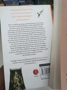 Wings of Fire &amp; My Journey