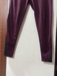 Stylish Burgundy tights with Mesh Accents