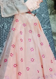 Indo Western Lehnga Double Choli Set