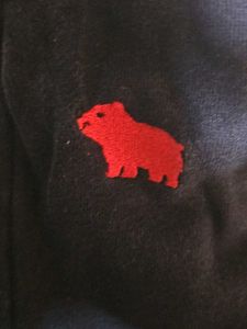 Carter's Navy Hoodie with Red Paw Print