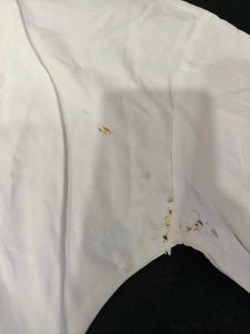 Chic White Button-Up Shirt with Cinched Waist