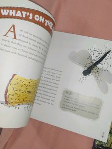 Children's Story Books Short Stories
