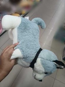 Cute Husky Plush Toy