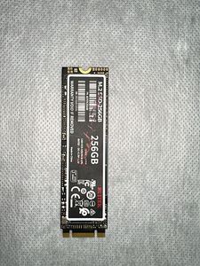 256GB M.2 SSD