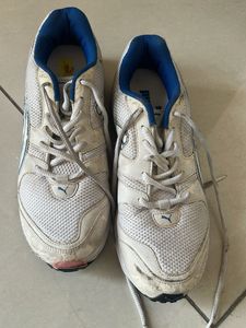 White Puma Sneakers