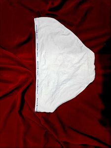 🇳🇿💫🎀Tommy Hilfiger White Briefs