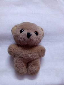 Toy Bundle: Teddy Bear and Accessories