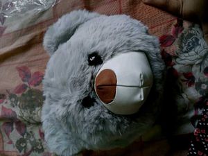 Adorable Bear Head Cushions