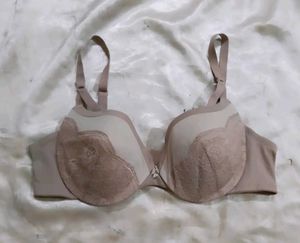 Lace Padded Bra