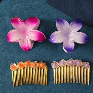 Set of 2 claw clips and hair comb pins