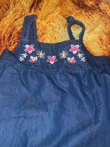 Cute Denim top with Floral Embroidery