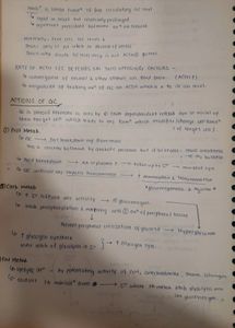 Anatomy Physiology Notes First Year Mbbs