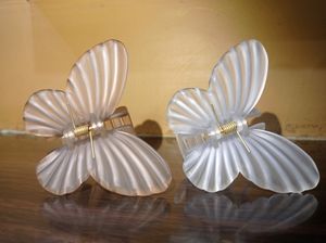 Butterfly Cletcher Big Size