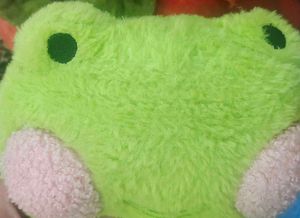 cute green frog