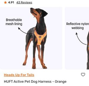 Dog Harness