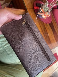 Baggit Purse