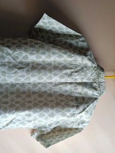 Pastel Green Tree Printed Shirt