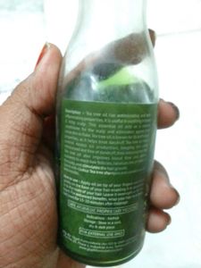 Globus Naturals Tea Tree Hair Oil