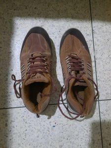 Men's Brown Casual Shoes