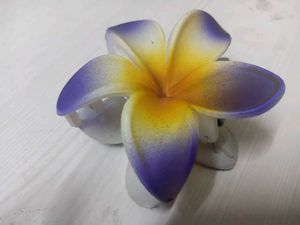New Flower Hair Clips
