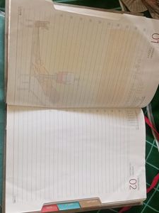 medium size diary