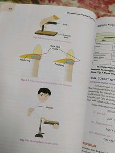 Practical Chemistry Class XI CBSE