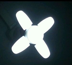 Fan Light
