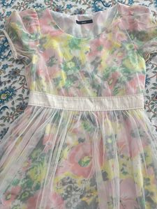 Fully Loaded Colour