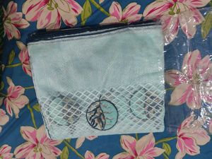 Beautiful Light Blue Saree