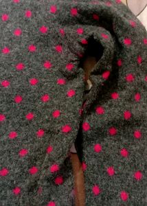 Grey Short Cardigan For Girls Nd Women