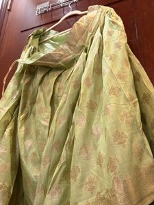 Elegant Green Lehenga