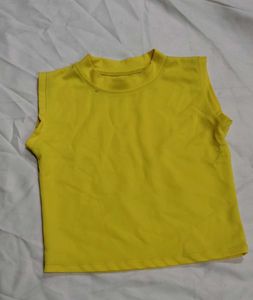 Magenta  Sleeve Top