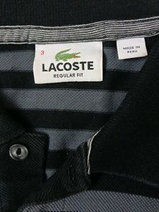 Striped Lacoste Polo Shirt