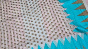 Elegant Beige Saree with Teal Border